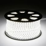 LED Strip 230V - Koel wit - 6000K - IP66 - 60xSMD5050/m - Losse strip | MP210010 | <ul class="list-style -check">
<li>Per meter inkortbaar</li>
<li>Koelwit (6000K)</li>
<li>10W/m, 350Lm/m</li>
<li>Losse strip</li>
</ul>