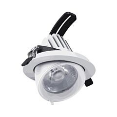 LED Downlight Kantelbaar - COB - 24W - 165mm - 60° | MP150031 | <ul class="list-style -check">
<li>2150 Lumen</li>
<li>Warm wit of Wit</li>
<li>Kantelbaar/Draaibaar</li>
</ul>