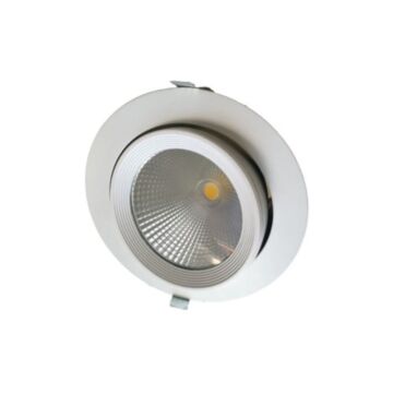 LED Downlight Kantelbaar - COB - 10W - 1000Lm - Ø140x120mm - 30° | MP150030 | <ul class="list-style -check">
<li>1000 Lumen</li>
<li>Warm wit of Wit</li>
<li>Kantelbaar/Draaibaar</li>
</ul>